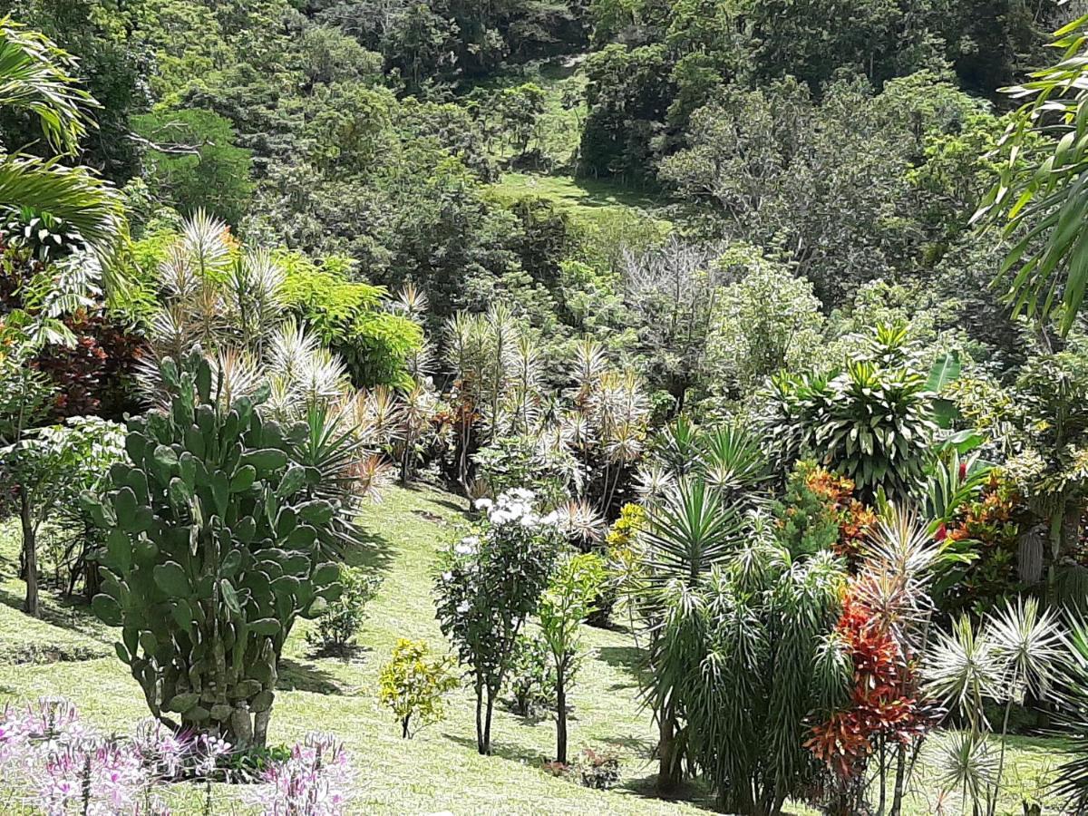 Marita'S Bed And Breakfast นวยโว อาเรนัล ภายนอก รูปภาพ