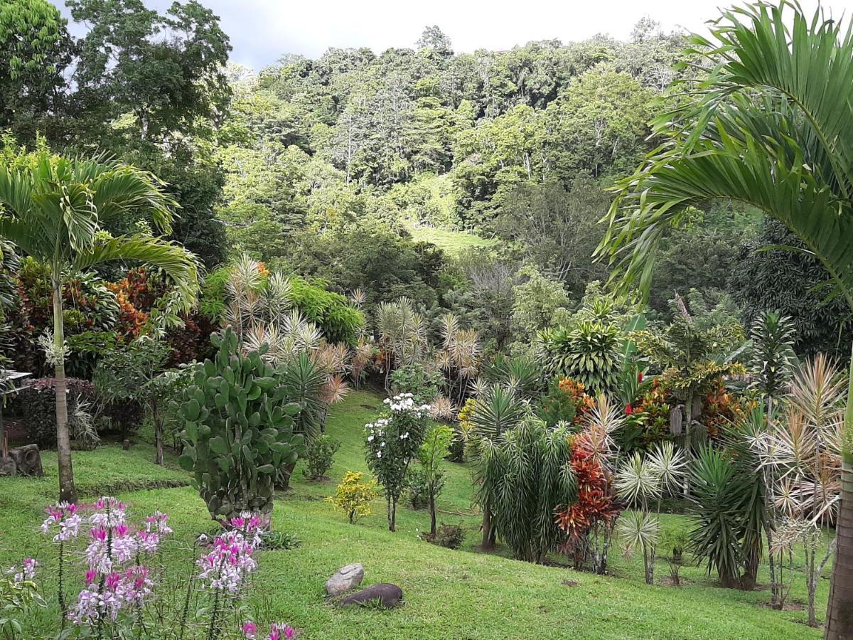 Marita'S Bed And Breakfast นวยโว อาเรนัล ภายนอก รูปภาพ